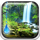 Rain Forest Live Wallpaper APK