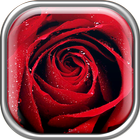 Roses Live Wallpaper ไอคอน