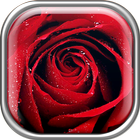 Roses Live Wallpaper ikon