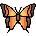 HQ Butterfly Live Wallpaper HD-icoon