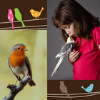 Vogels foto collage-icoon