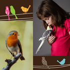 Birds Photo Collage icon