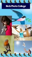 Vögel foto collage Plakat