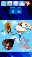 Birds Photo Collage স্ক্রিনশট 3