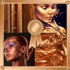 Bronze Photo Collage icon