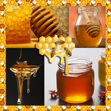 Collage de photos de miel icône
