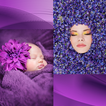 Purple Photo Collage