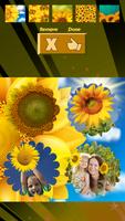 Sunflower Photo Collage اسکرین شاٹ 3