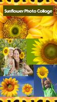 Collage photo de tournesol Affiche