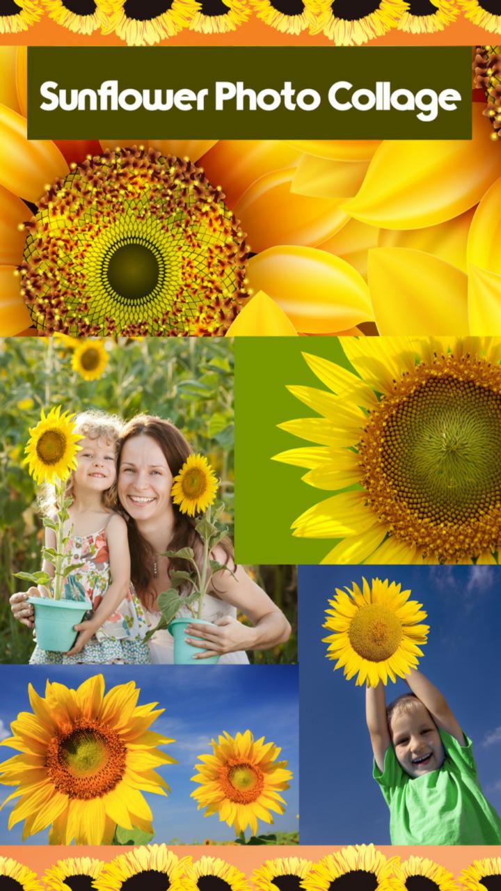 76 Gambar Bunga Matahari Untuk Kolase Paling Hist Gambar Pixabay