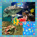 Sea Creatures Collage APK