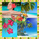 Collage de photos tropicales APK