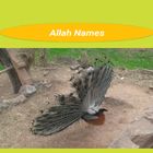 Allah Names icon