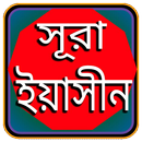 সূরা ইয়াসিন বাংলা অডিও APK