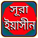 সূরা ইয়াসিন বাংলা অডিও icon