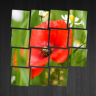 Exciting Puzzle - Flowers آئیکن