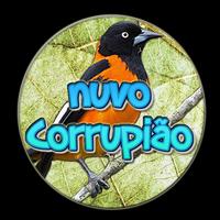 Nuvo Canto Corrupião Hino Nacional capture d'écran 1