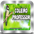 COLEIRO PROFESSOR Para encarte de filhotes icône