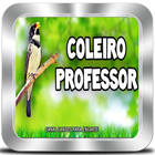 COLEIRO PROFESSOR Para encarte de filhotes आइकन