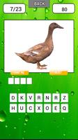 Animal quiz Guess word Affiche