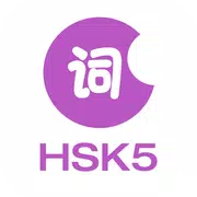 LearnChinese-HSK Level 5 Words