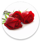 Flower Images icon