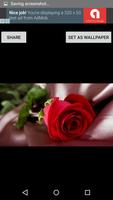 Flower Images screenshot 2