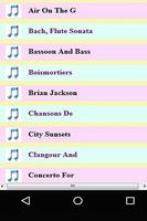 Excellent Flute Music Collections screenshot 1