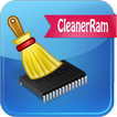 cleaning RAM