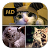 Super Cute Cat Puzzle APK