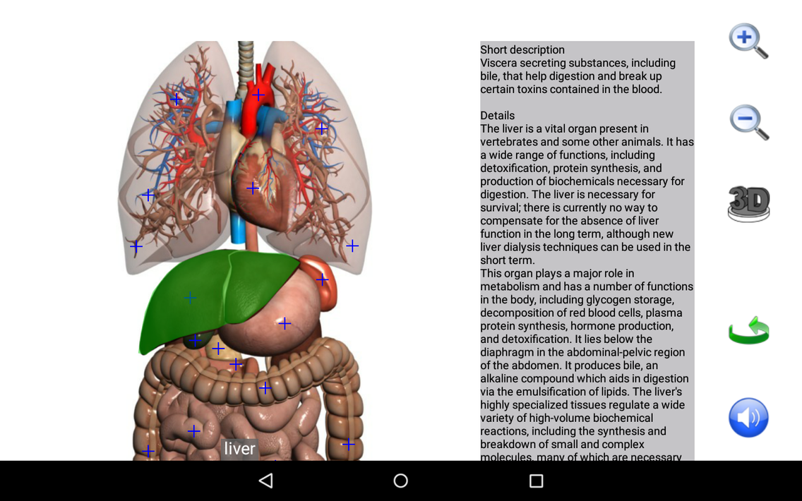 Visual Anatomy Free screenshot 13