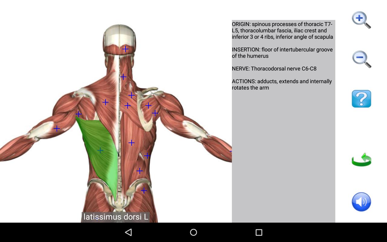 Visual Anatomy Free for Android - APK Download