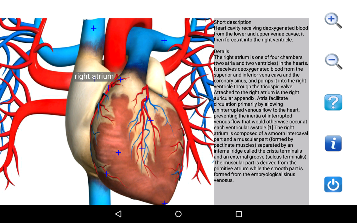 Visual Anatomy Free screenshot 20