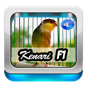 Suara Master Kenari F1 ícone