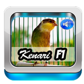 Suara Master Kenari F1 icon