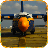 Cargo Airplane Sim
