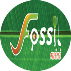 Fossil Mini icône