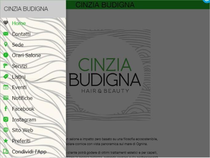 Cinzia Budigna For Android Apk Download