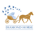 Diamond Horse 马来宝 icône
