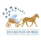 Diamond Horse 马来宝 icon