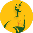 Syokbag