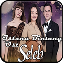 Lagu SELEB - Istana Bintang Mp3 HD APK