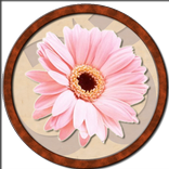 Inspirierend Phrasen