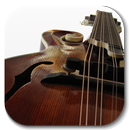 Mandolin Ringtones - Happy Mus APK