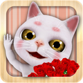 Talking Kitty