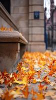 Autumn Wallpapers HD Affiche