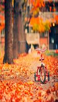 Autumn Wallpapers HD स्क्रीनशॉट 2