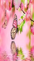 Butterflies Wallpapers HD Cartaz