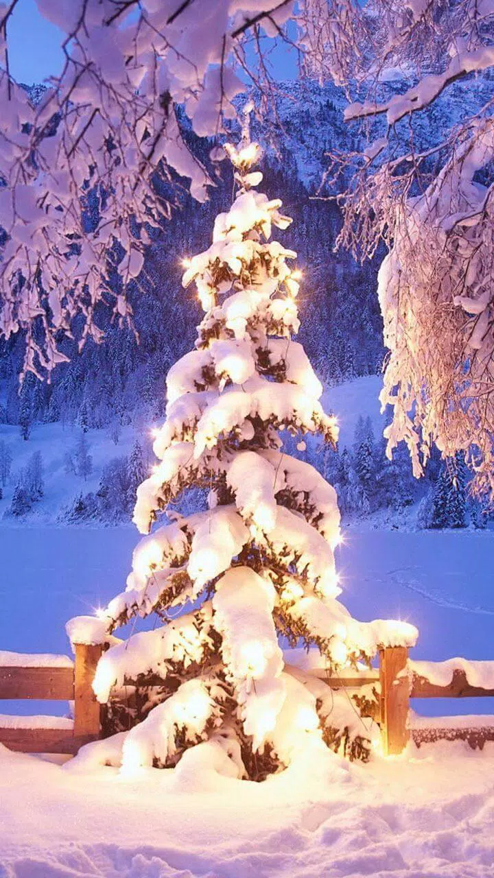 Christmas Tree Wallpaper For Iphone