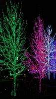 Christmas Lights Wallpapers HD imagem de tela 1